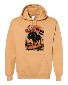 Mountain Sunset Bison Hoodie