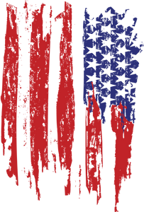 Distressed American Flag Print