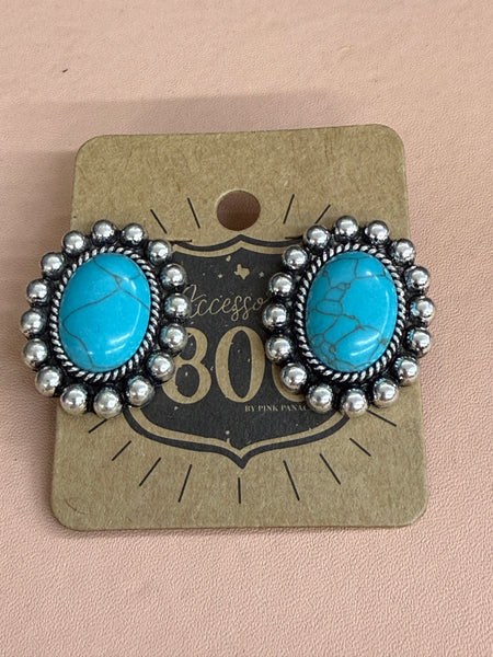 Asst Turquoise Earrings