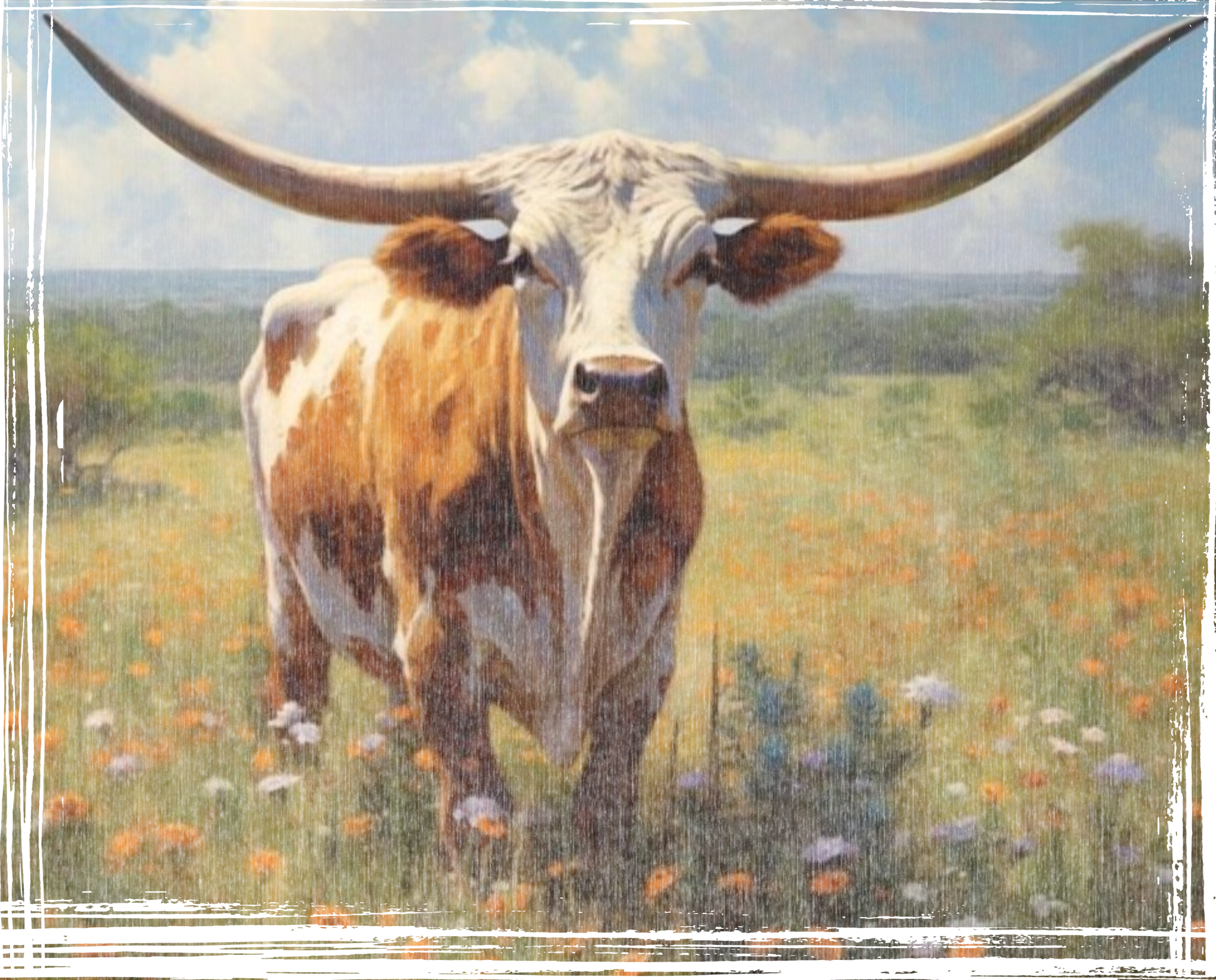 Prairie Longhorn Photo Print