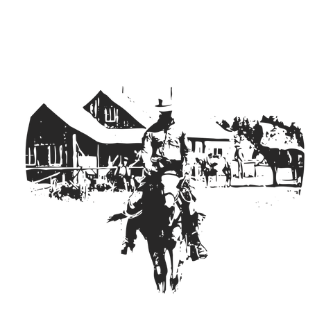 Western Cowboy Print