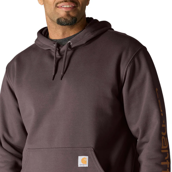 Carhartt Loose Fit Midweight Logo Sleeve Graphic Hoodie
