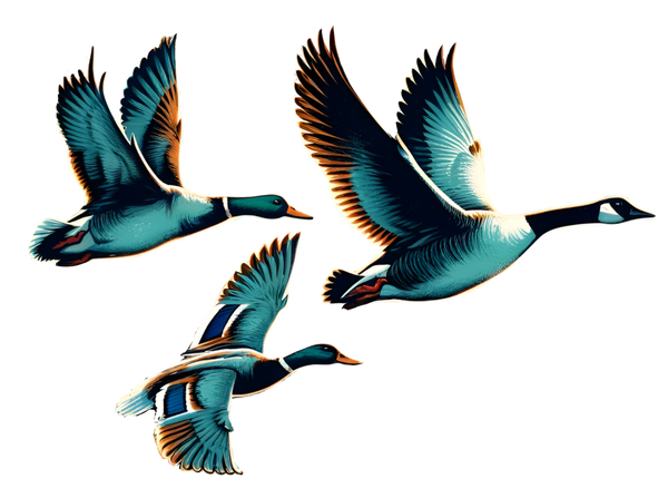 Duck Duck Goose Print