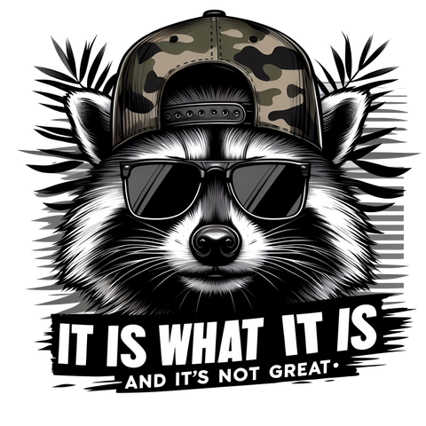 It Is What It Is Racoon Print