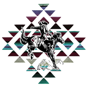 Serape Cowboy Print